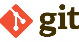 How to delete all local branches except master in Git