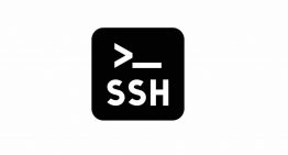 How to search for files in Linux?