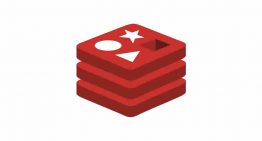 How to connect with the remote Redis server?